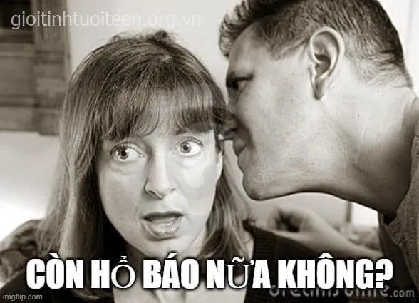 Meme sợ à vui nhộn khiến bạn không thể từ chối