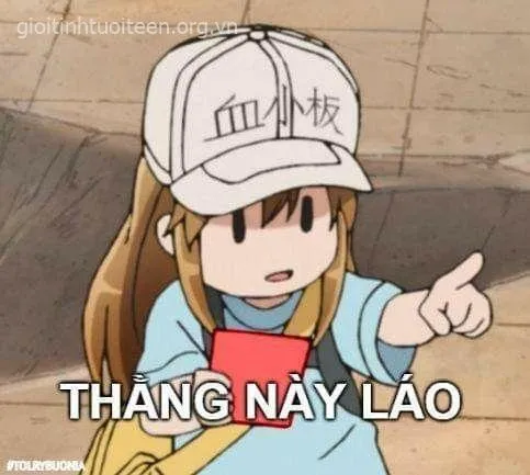 Meme đánh vai lầy troll siêu hài hước