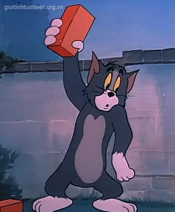 Mèo Tom cầm gạch tính đánh