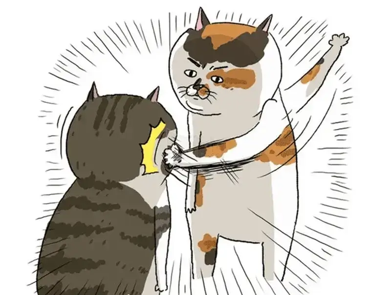 Meme đánh nhau bá đạo trong group vui