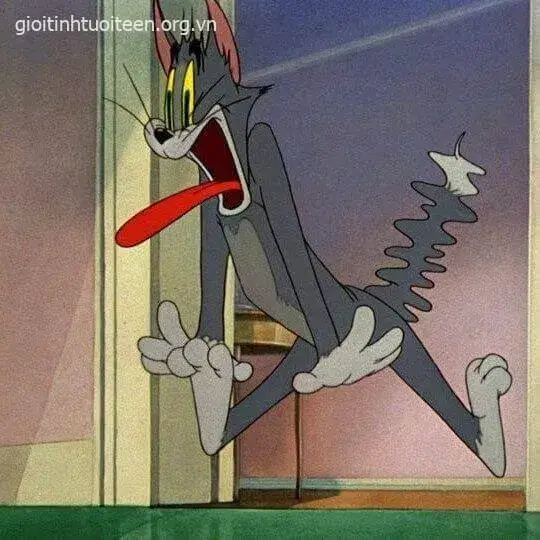 Hình chế mèo Tom ngạc nhiên gương mặt quê độ cực buồn cười