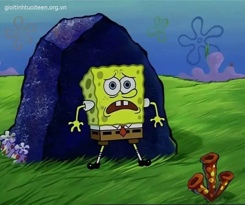 Biểu cảm bọt biển bất ngờ dáng ngồi cứng đờ, gương mặt troll