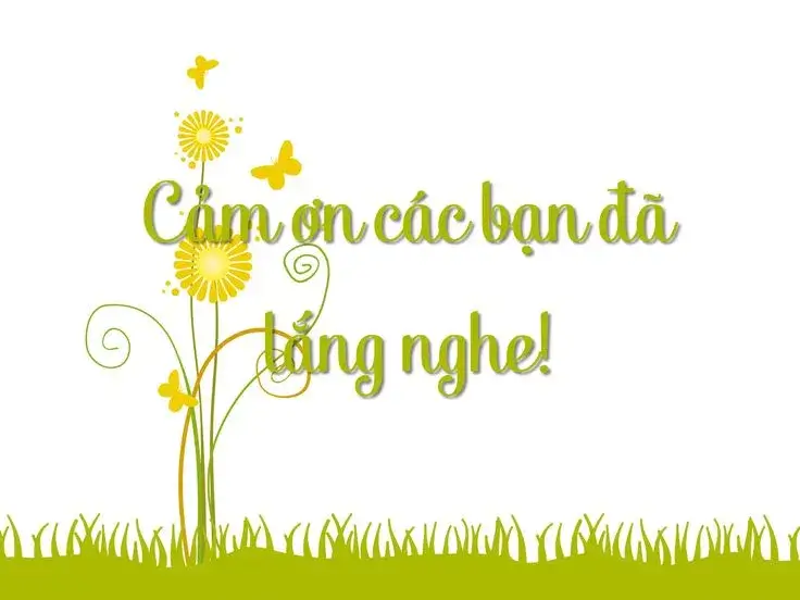 Meme bẽn lẽn, kết thúc bài trình bày bằng lời cảm ơn.