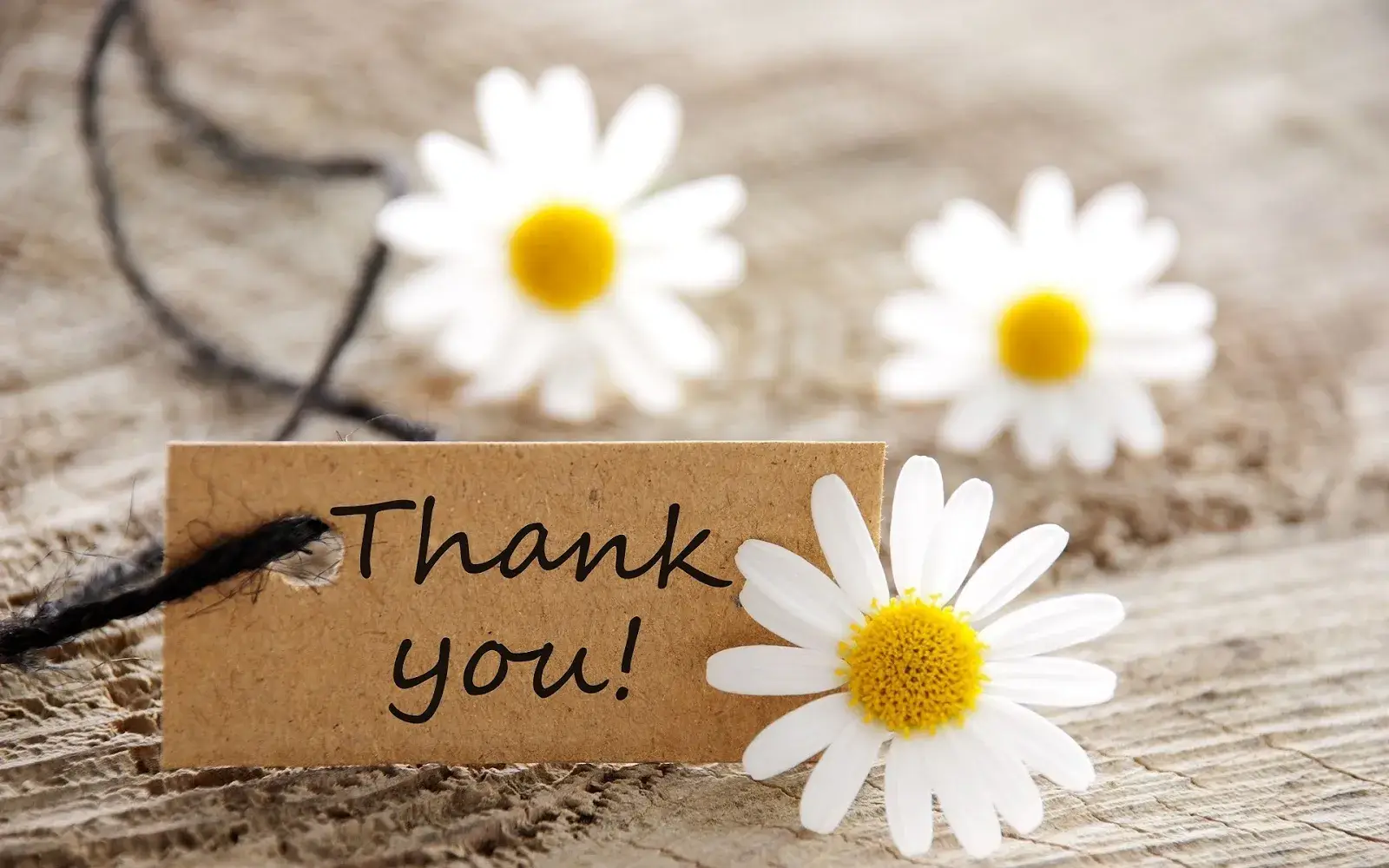 Slide ảnh: “Cám ơn các bạn đã lắng nghe bài”.