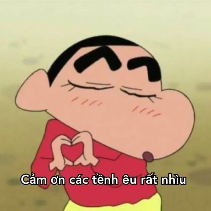 Meme Shin cảm ơn hài hước, nụ cười mộc mạc.