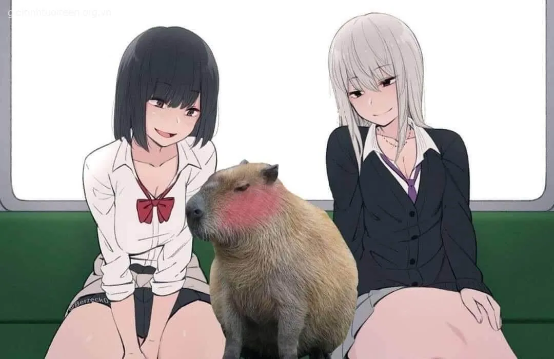 Meme capybara ánh mắt xa cách đầy lạnh nhạt.