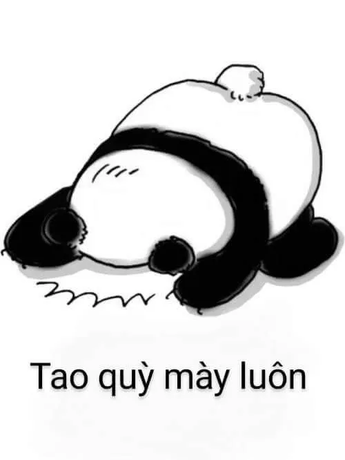 Meme cúi đầu xin lỗi hài hước