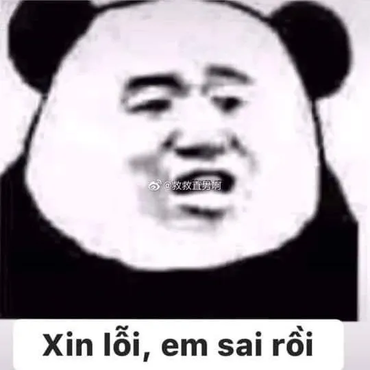 Ảnh chế hối lỗi đáng yêu