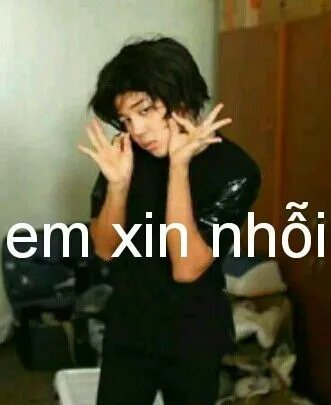 Meme cúi đầu xin lỗi siêu hài