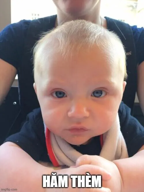 Meme chê khinh khỉnh nhưng buồn cười