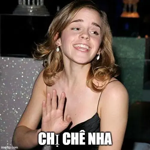 Tận hưởng 50+ Meme Chê hài hước, độc lạ khi bày tỏ sự chê bai một cách châm biếm