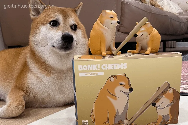 Khuôn mặt Cheems hớn hở, ánh mắt lấp lánh hạnh phúc