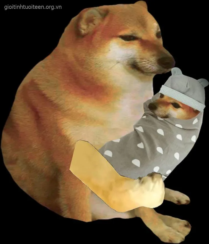 Biểu cảm Cheems bất lực, gương mặt cam chịu cực tội nghiệp