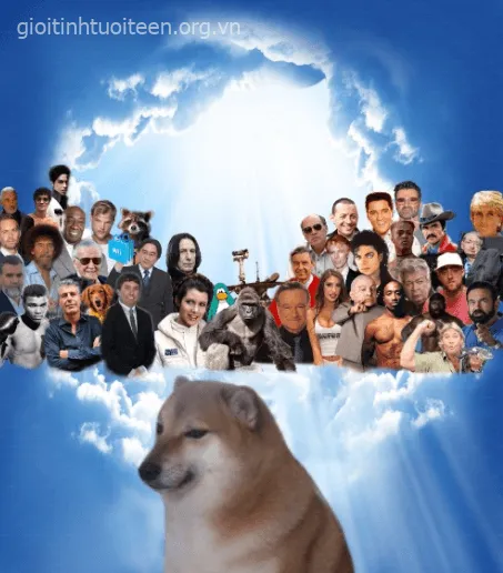 Biểu cảm Cheems giận dữ, đôi mắt căng thẳng cực gắt