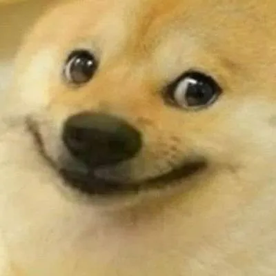 Biểu cảm chó cười ranh mãnh, trông cực ác ý.