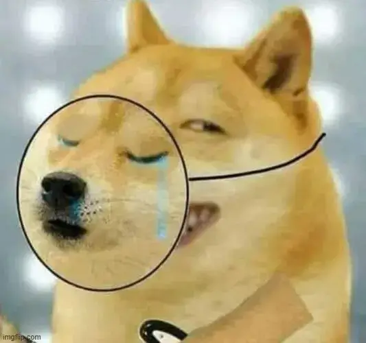 Chó cười gian xảo, ánh mắt đầy toan tính.