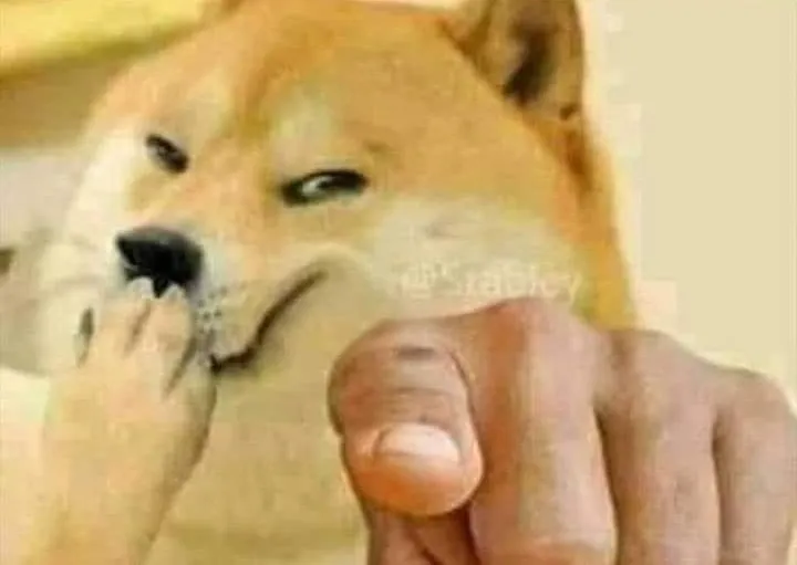 Chó cười đểu chỉ tay, khuôn mặt bí hiểm.