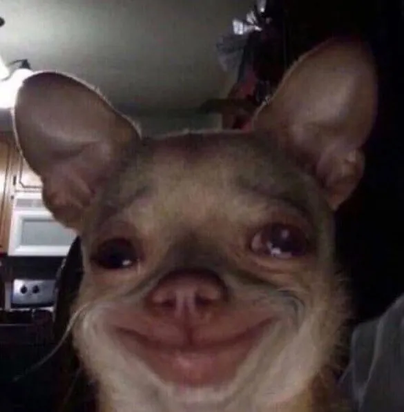 Đôi tai rũ xuống, ánh mắt buồn bã khóc không thành tiếng.