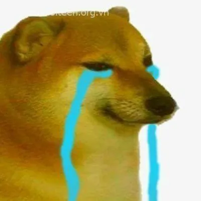 Shiba thất thần, hai chân ôm mặt khóc đầy thương cảm.