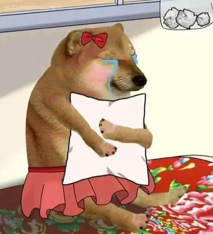 Chú chó rũ tai, thân hình run rẩy khóc đau khổ.