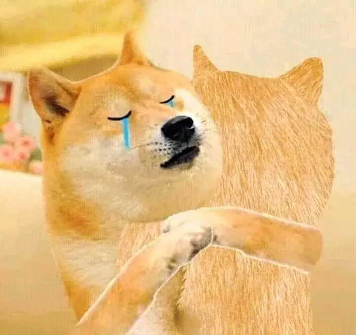 Nỗi đau vỡ òa, chú chó ôm bạn khóc to lên.