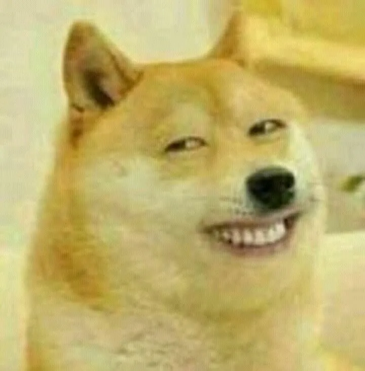 Meme Shiba cười lòi răng, nhìn duyên dáng.