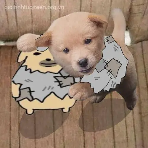 Avatar chó con chibi ngọt ngào với nụ cười rạng rỡ.