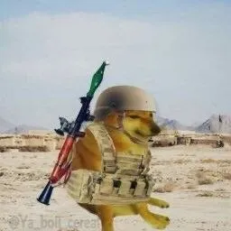 Meme Shiba cầm súng với gương mặt nghiêm túc khó đỡ.