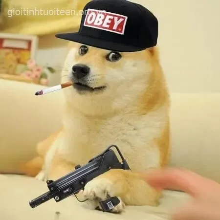 Meme chó Shiba cầm súng, nụ cười đểu khó tả.