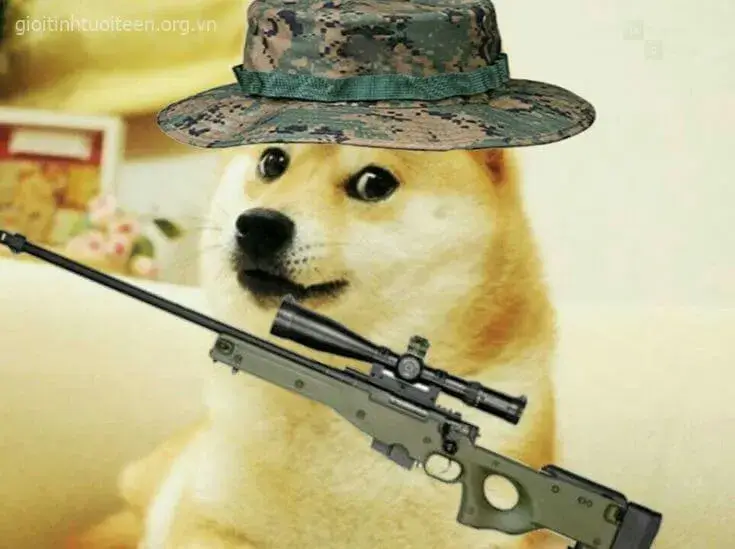 Meme chó Shiba cầm súng ngắm với gương mặt ngầu.