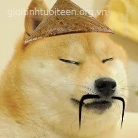 Meme Shiba để râu mép