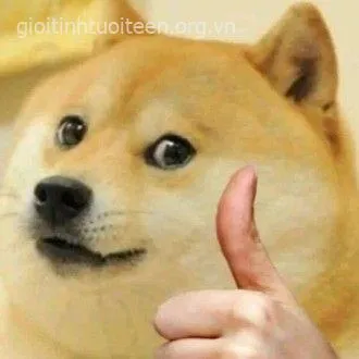 Meme Shiba giơ tay like