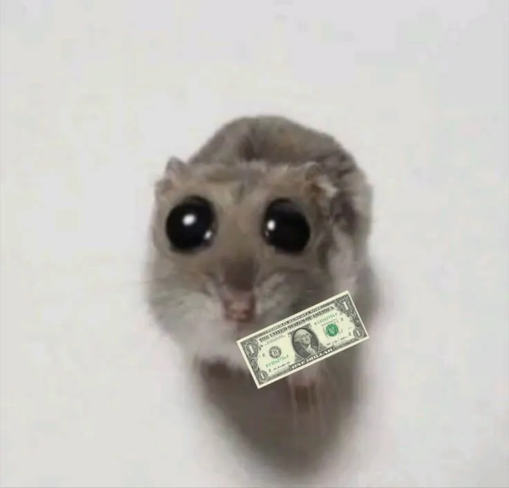 Chuột nhỏ cho bạn tờ đô la mới