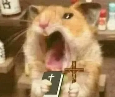 128 Loạt ảnh Meme Chuột Cầm Thánh Giá biểu cảm sợ sệt, hoảng loạn cực độ