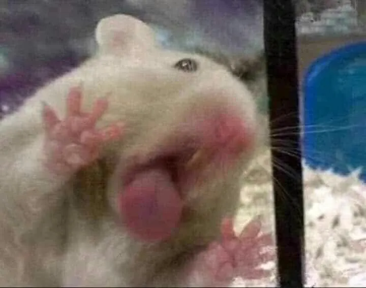 Hình chú chuột nhiệt tình rất vui vẻ