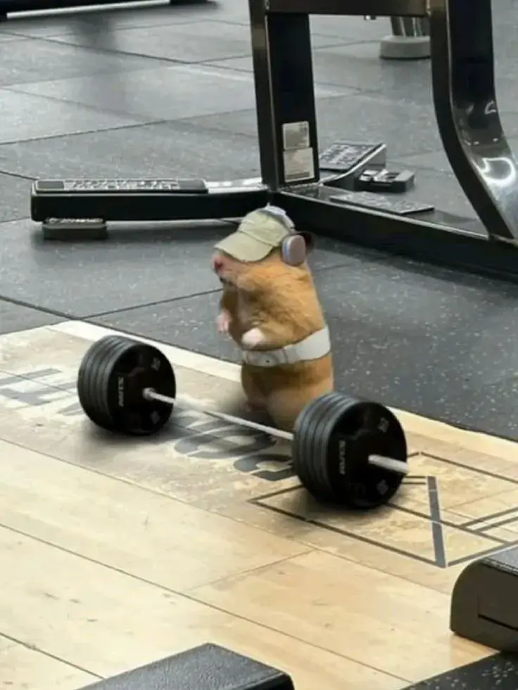 Ảnh con chuột nhanh nhẹn rất hoạt bát