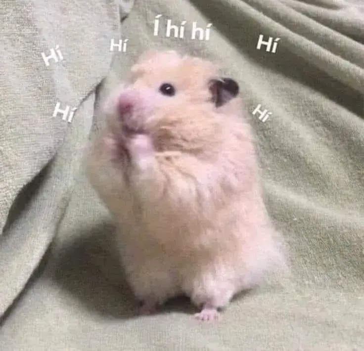 Meme chú chuột hamster cười tít mắt siêu cute