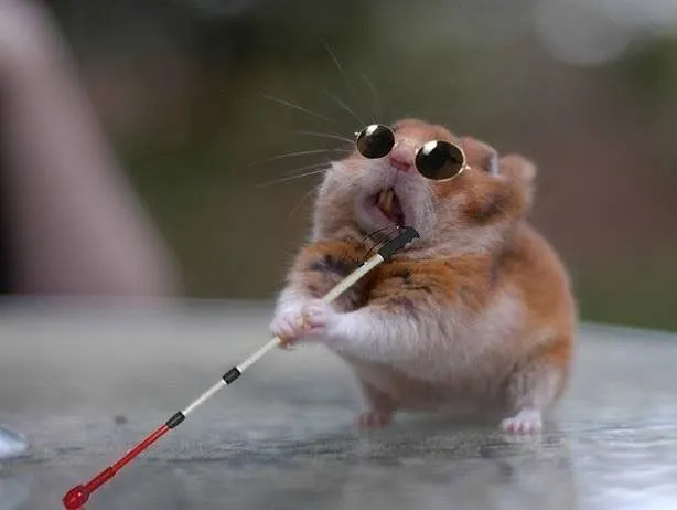 Avatar chuột hamster đeo kính đen cầm gậy