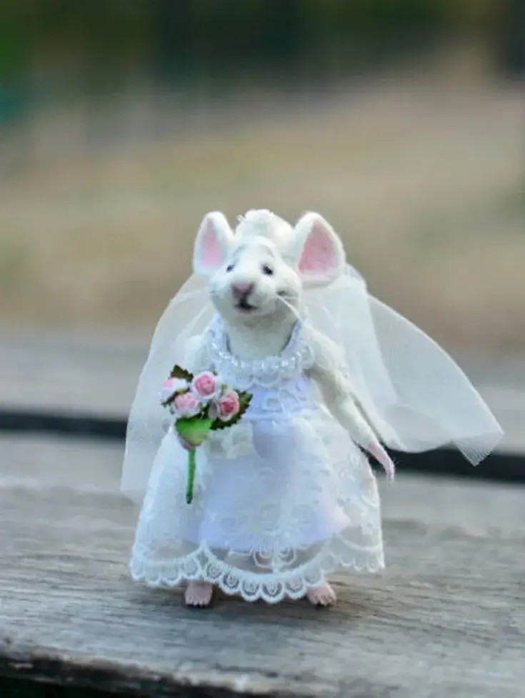Meme chuột trắng khoác váy cưới trắng, dáng vẻ hài hước.