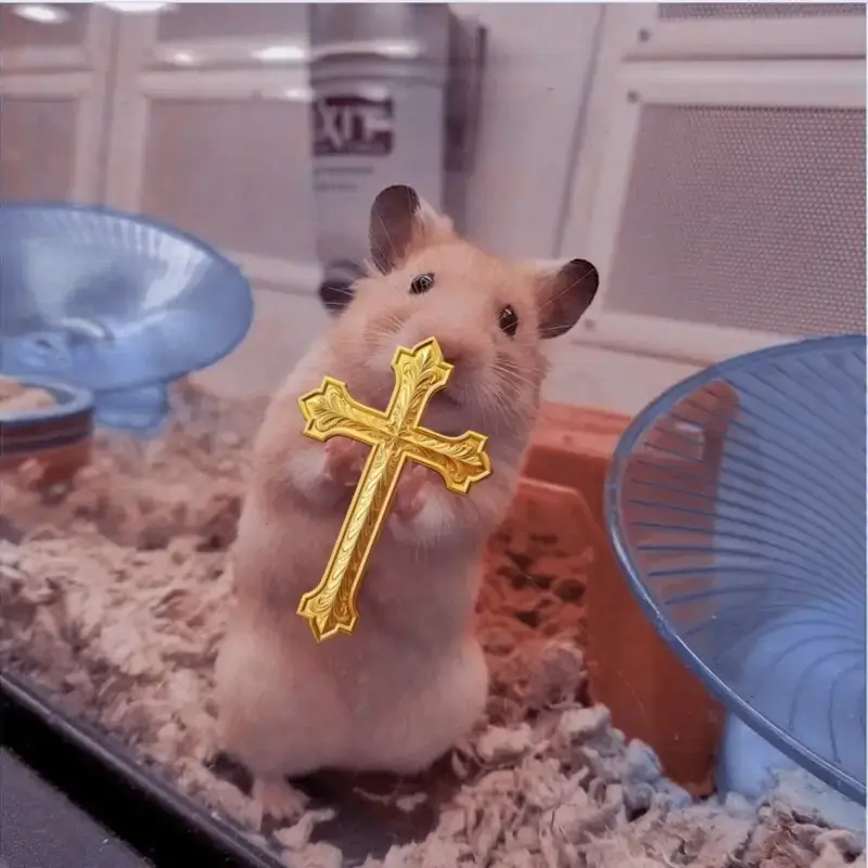 Meme chuột khóc hài, vừa buồn vừa gây cười bất ngờ.