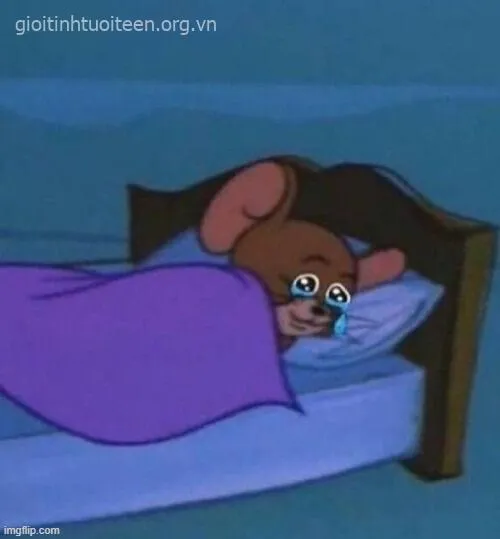 Meme chuột khóc hài, vừa nực cười vừa đáng yêu.