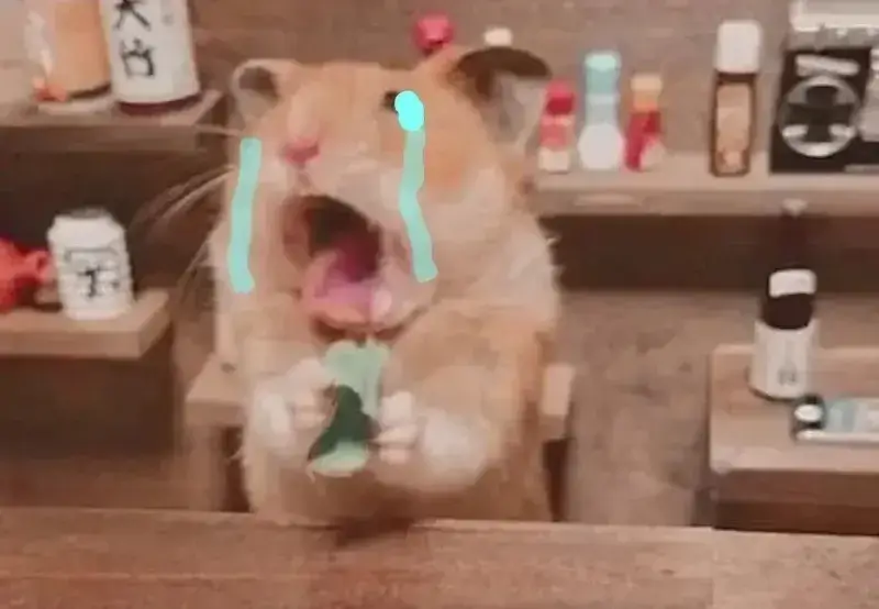 BST Meme Chuột Khóc cực dễ thương: Từ chuột Jerry tới chuột Mickey, Hamster