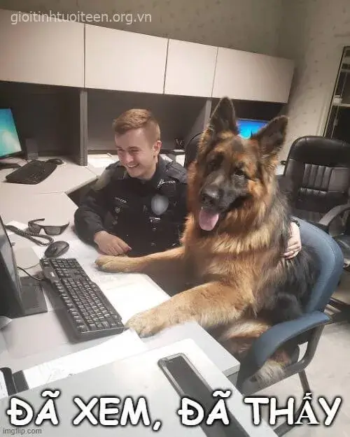 Meme công an đã xem lan truyền rần rần trên mạng