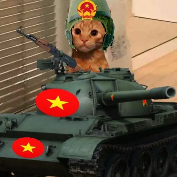 Hình vui đồng chí mèo duyên dáng nhìn rất buồn cười