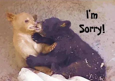 Meme chắp tay xin lỗi cực dễ thương