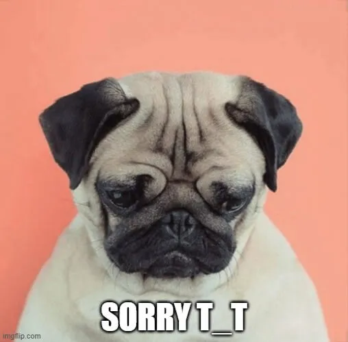 Meme xin lỗi cúi đầu ngốc nghếch