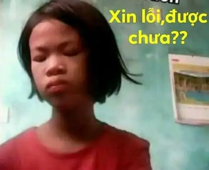 Biểu cảm hối lỗi nhìn rất buồn cười