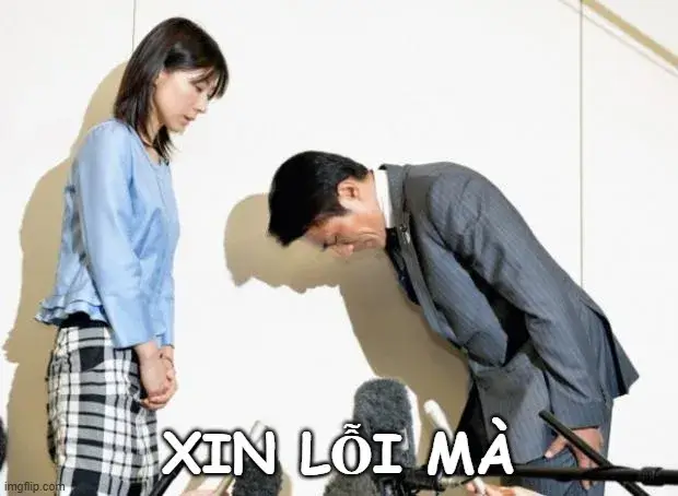 Meme xin lỗi dập đầu cực hài