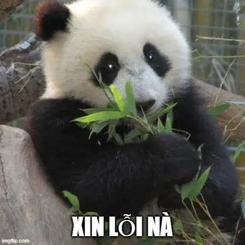 Meme chắp tay xin lỗi siêu lầy