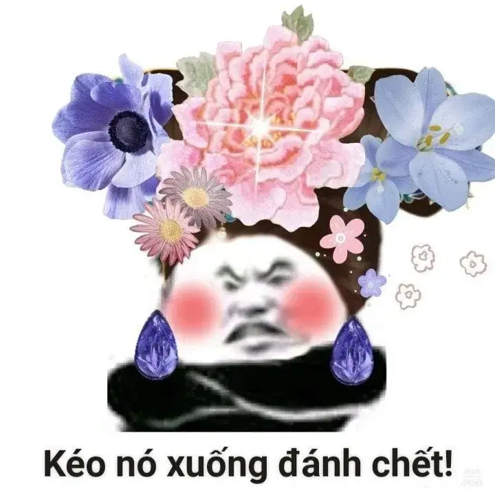 Meme gấu trúc cung đấu